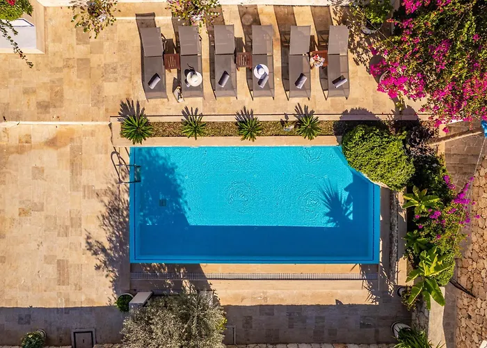 Seas The Day Καλκάν